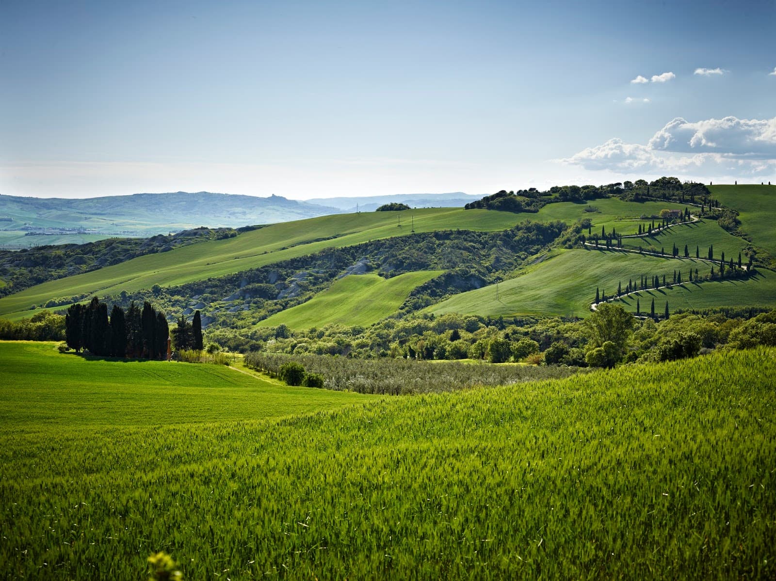 La Foce Gardens - Image 1