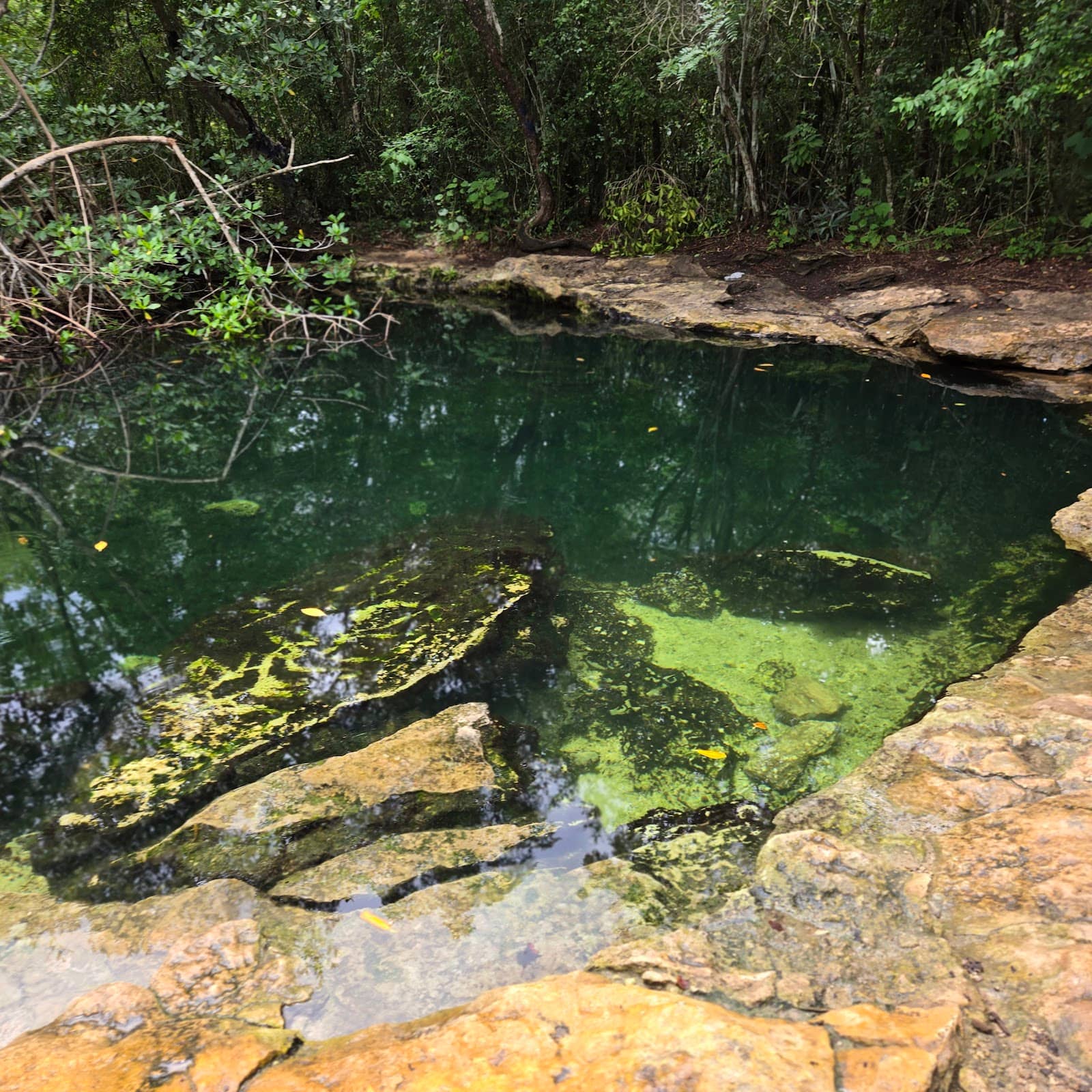 Unique Wildlife Sightings