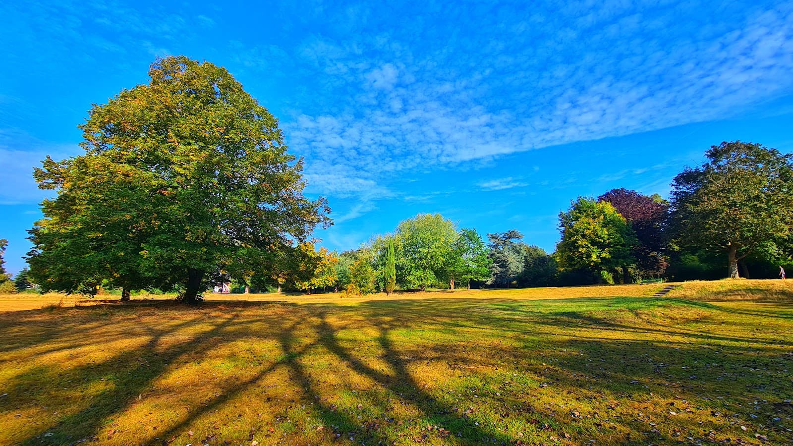 Jubilee Park (Edmonton) - Image 1