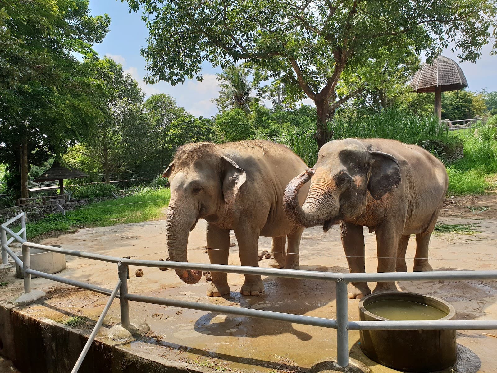 Songkhla Zoo - Image 1
