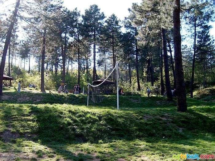 Izmit City Forest - Image 1