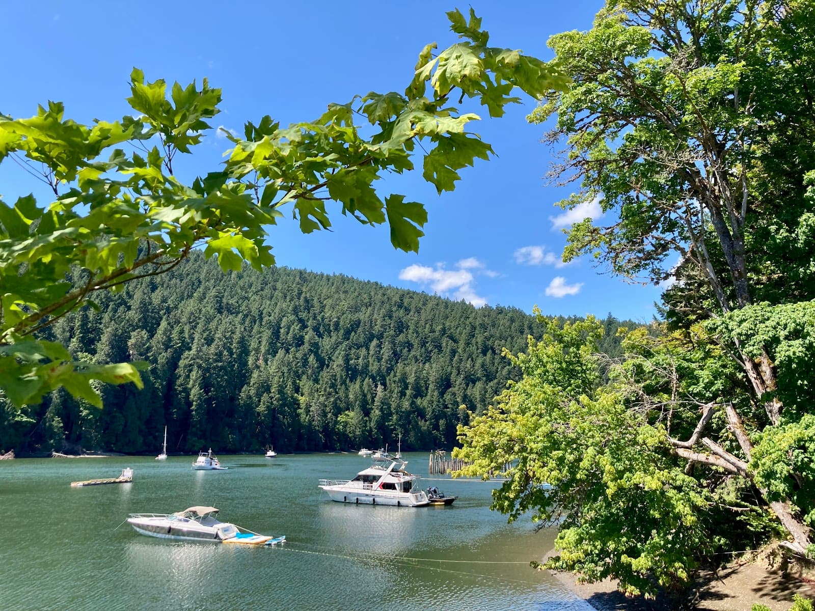 Tod Inlet British Columbia - Image 1