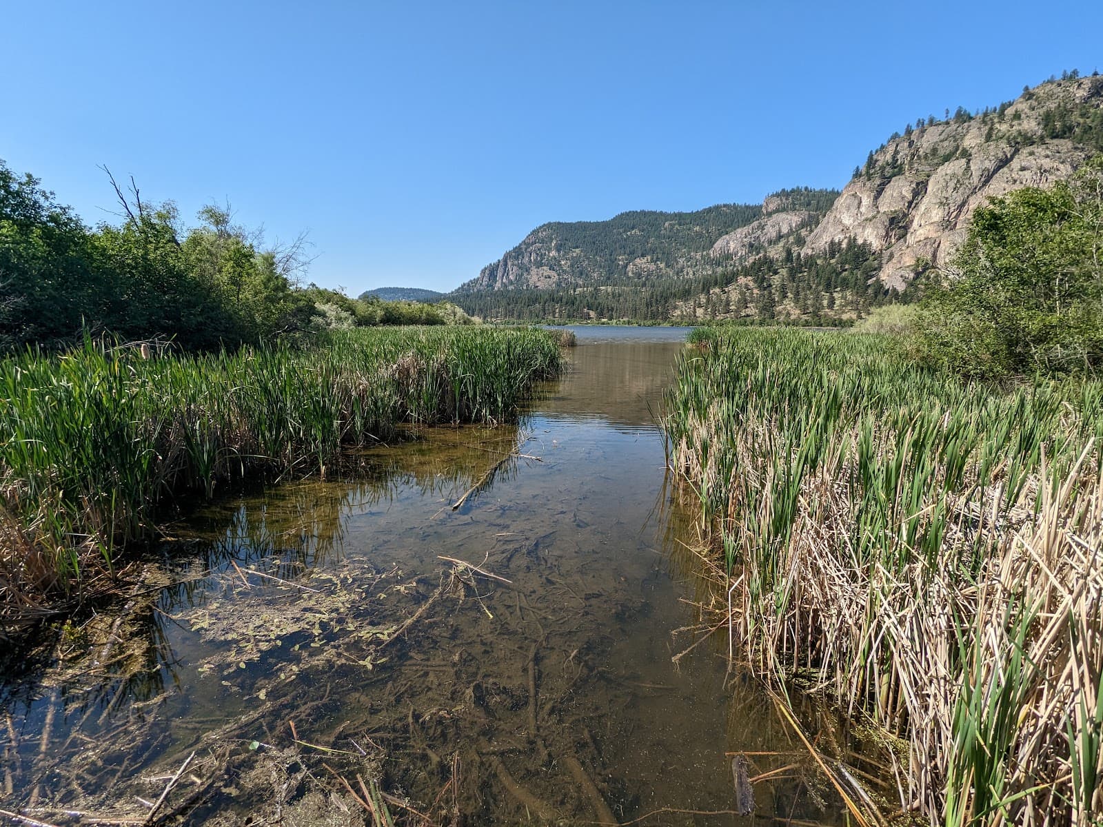 Vaseux Lake Bird Sanctuary - Image 1