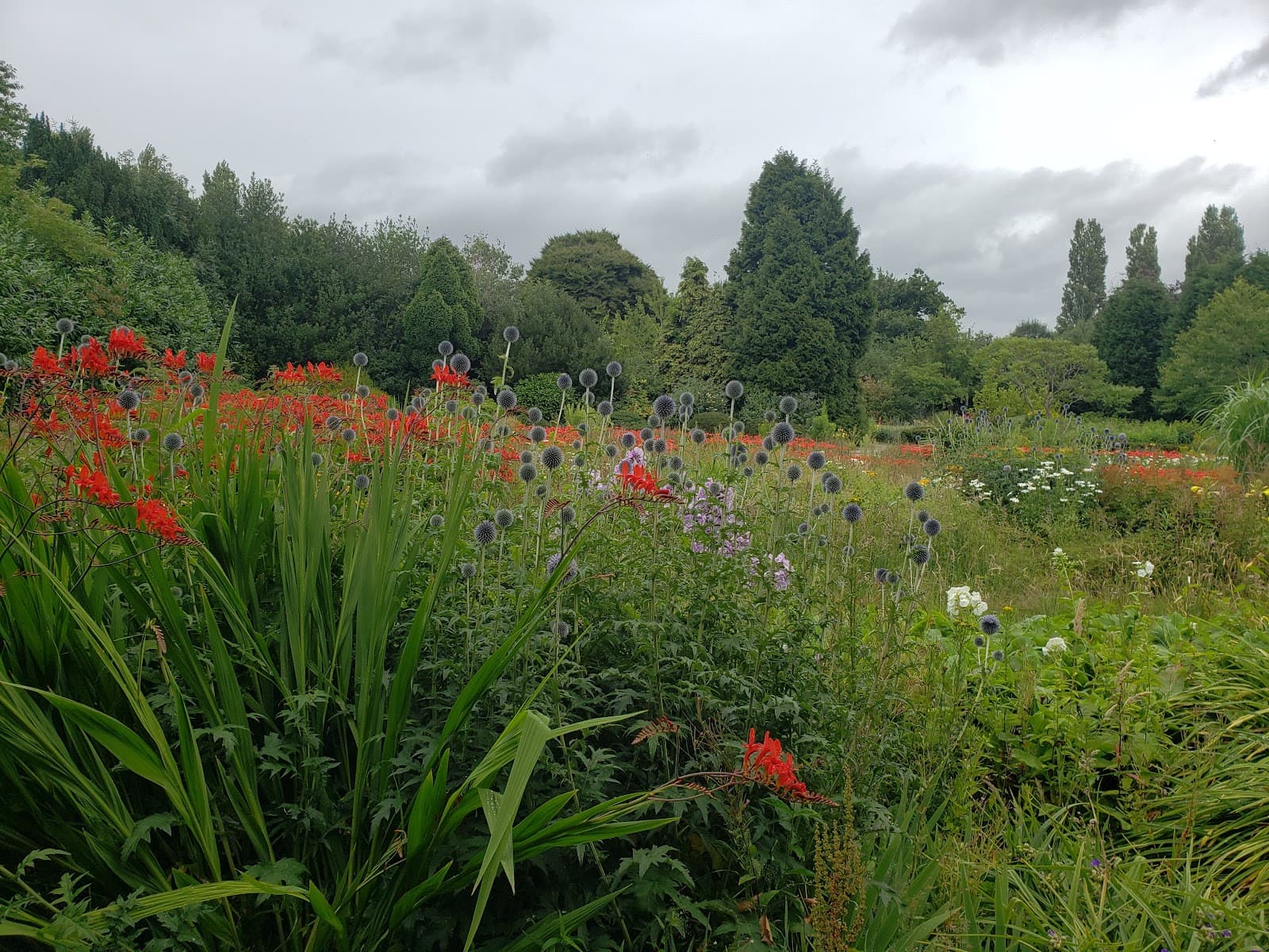 Pype Hayes Park & Hall - Image 1