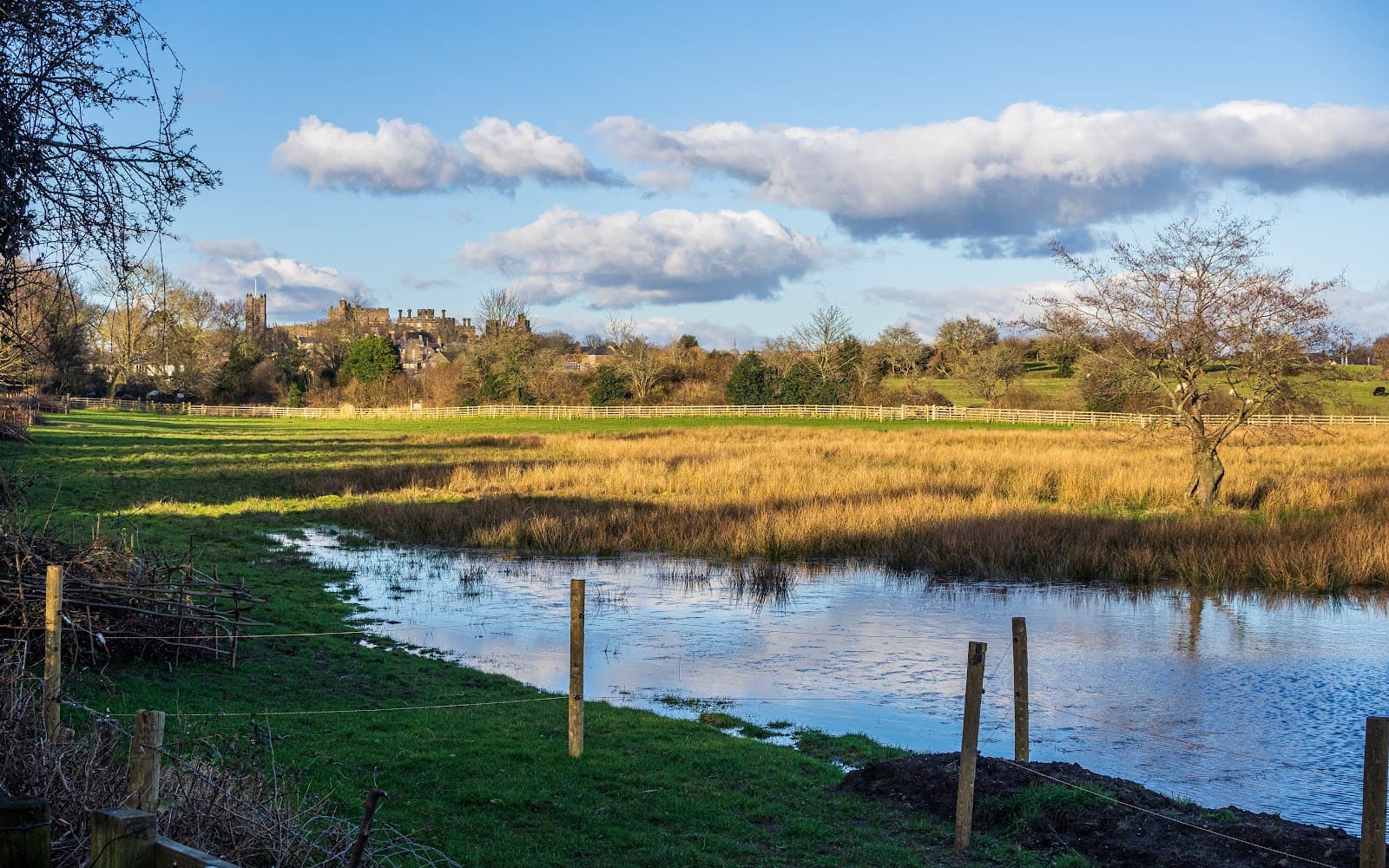 Fairfield Nature Reserve and Orchard - Image 1