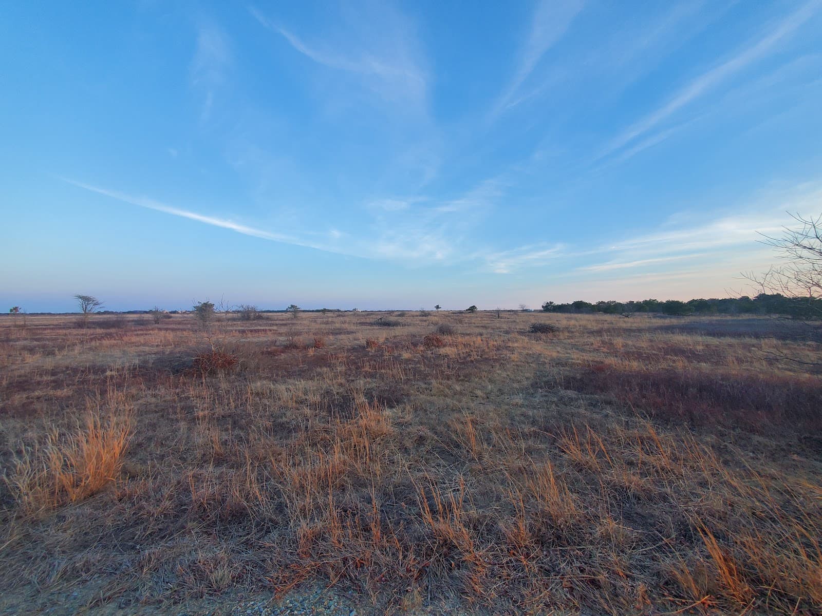 Katama Plains Conservation Area - Image 1