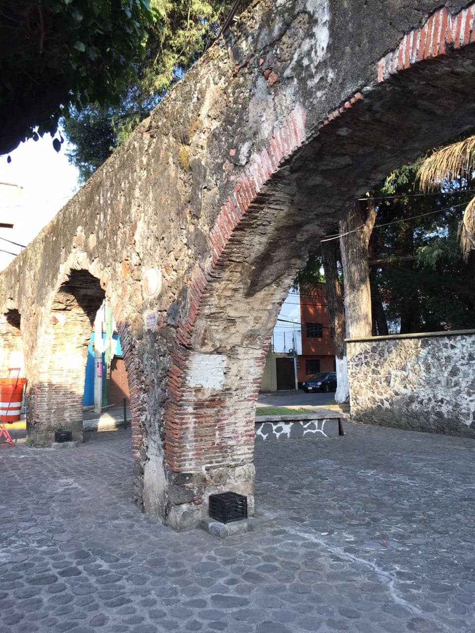 Surrounding Natural Beauty