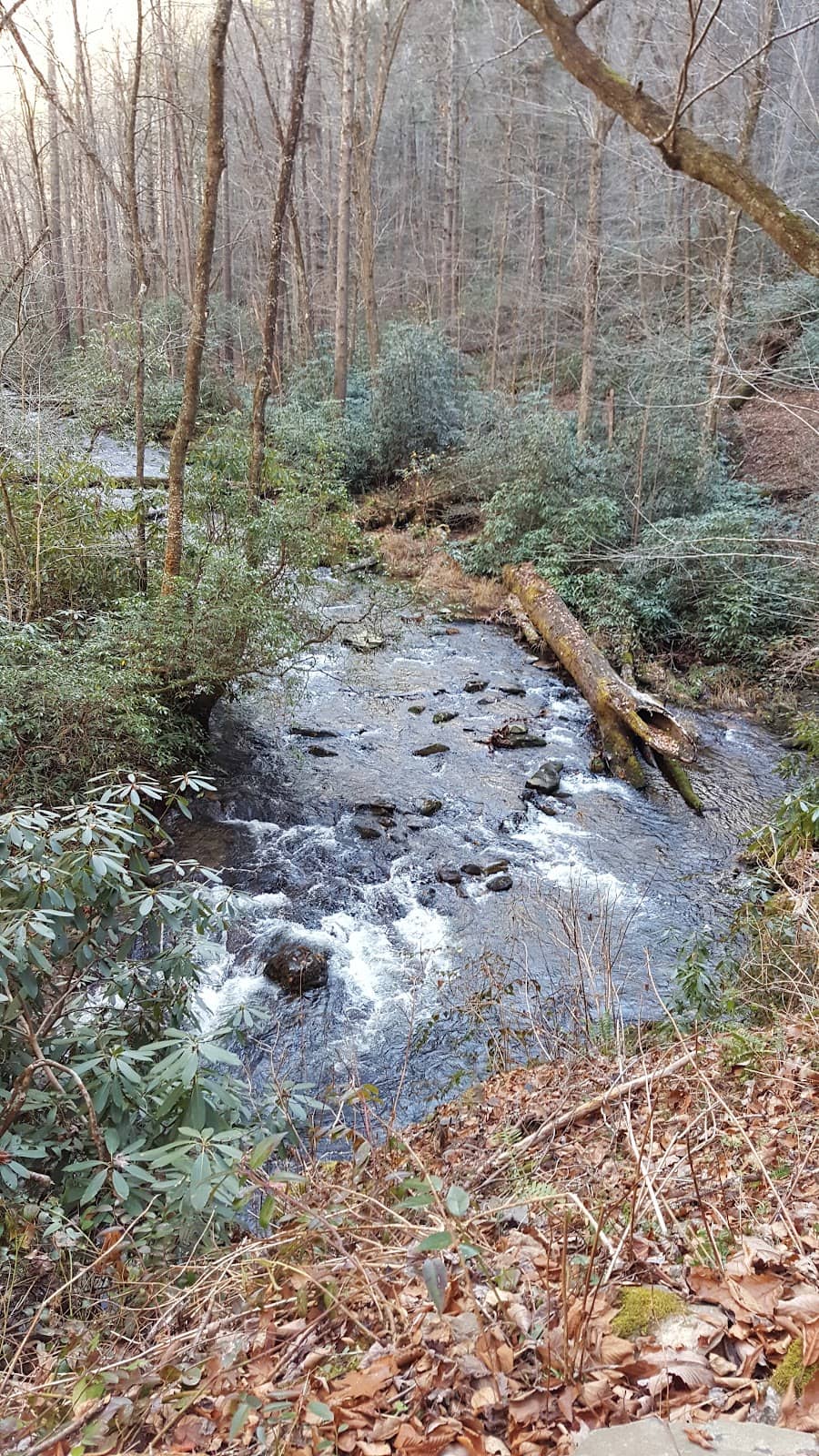 Historic Homestead Remains