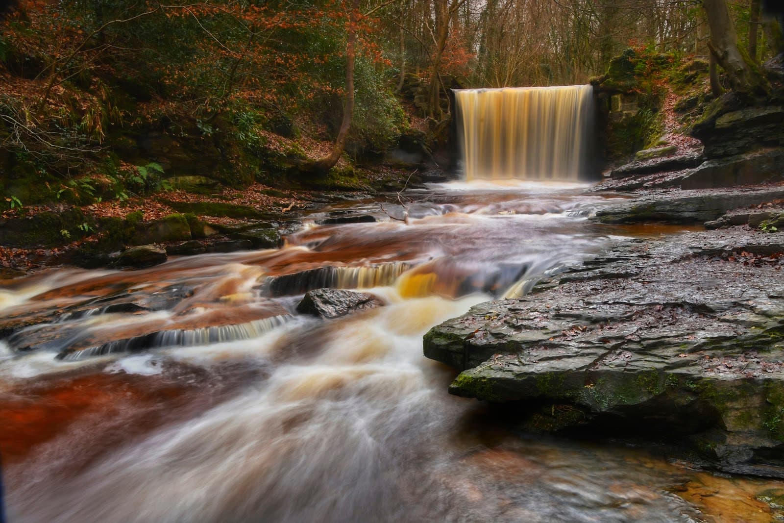 Nant Mill and Plas Power Woods - Image 1