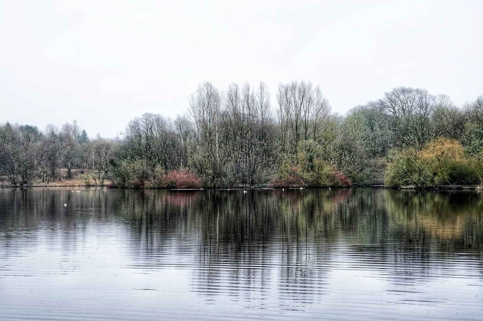Brun Valley Forest Park - Image 1