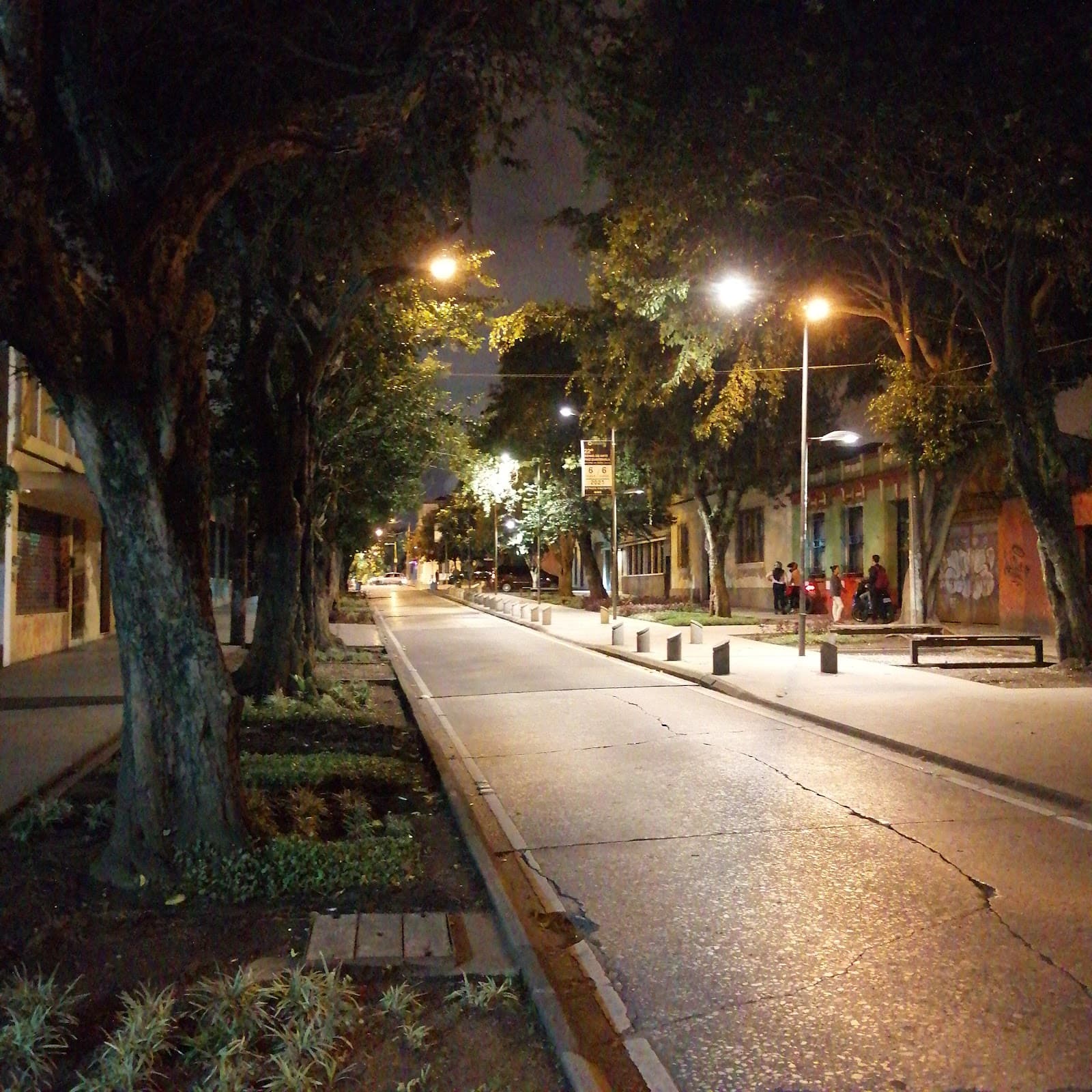 Paseo de la Sexta 6a Avenida - Image 1