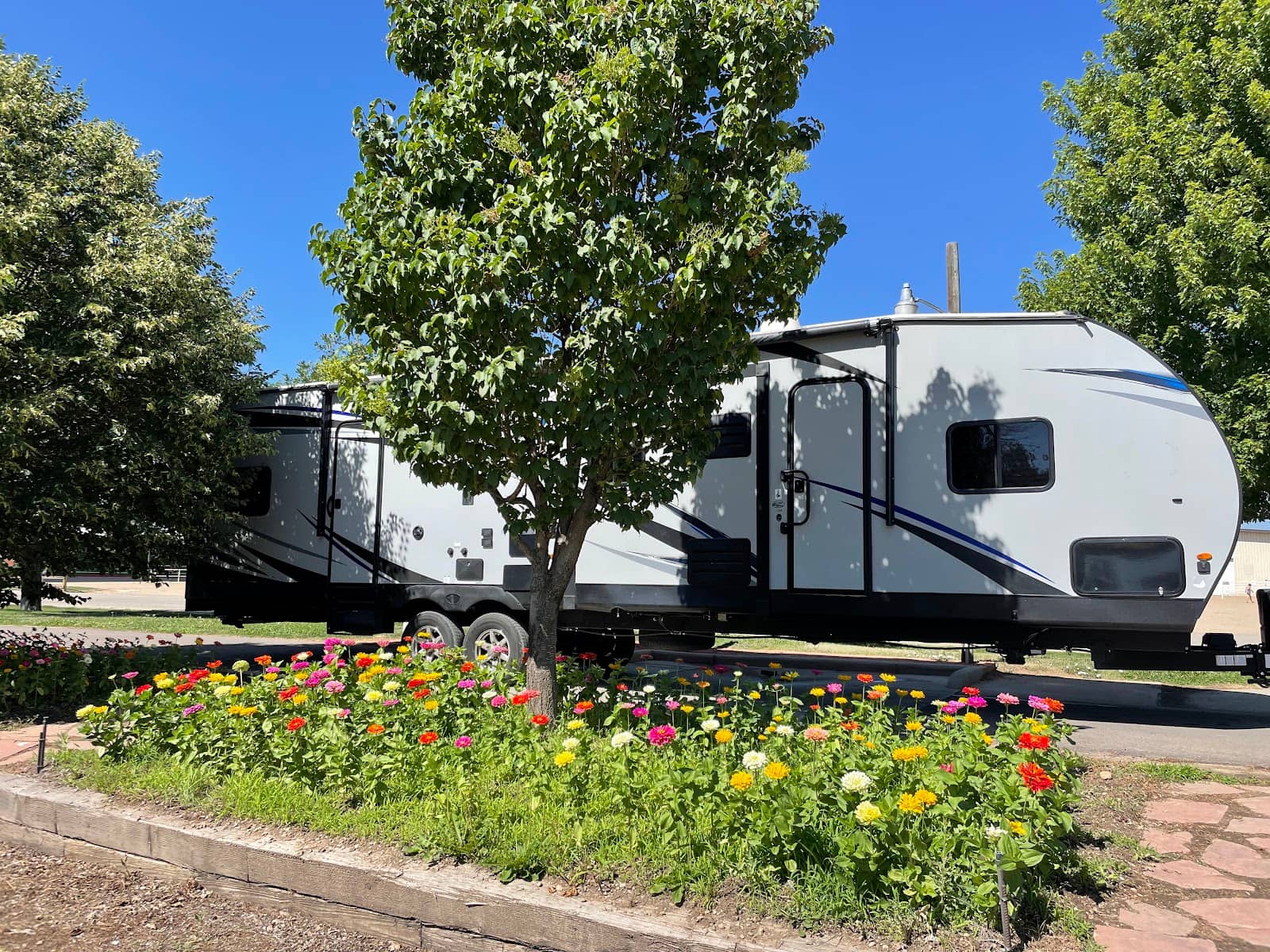 Camping Experience