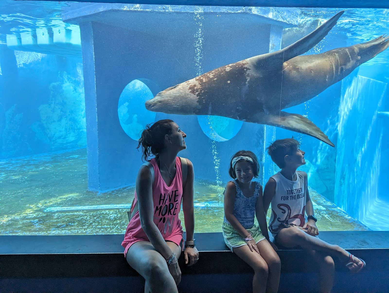 Interactive Exhibits