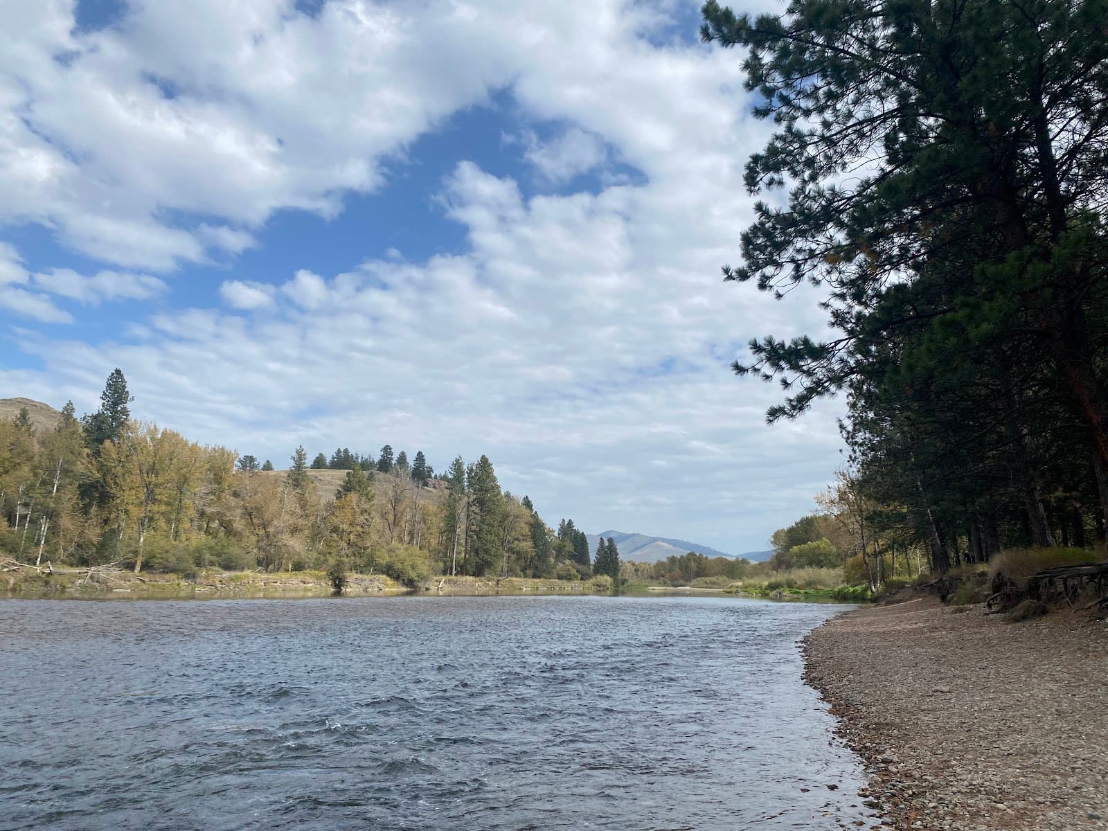 Maclay Flat Nature Trail - Image 1
