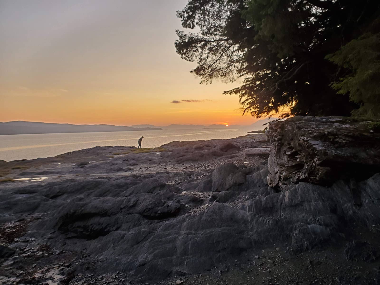 Whale Watching Opportunities