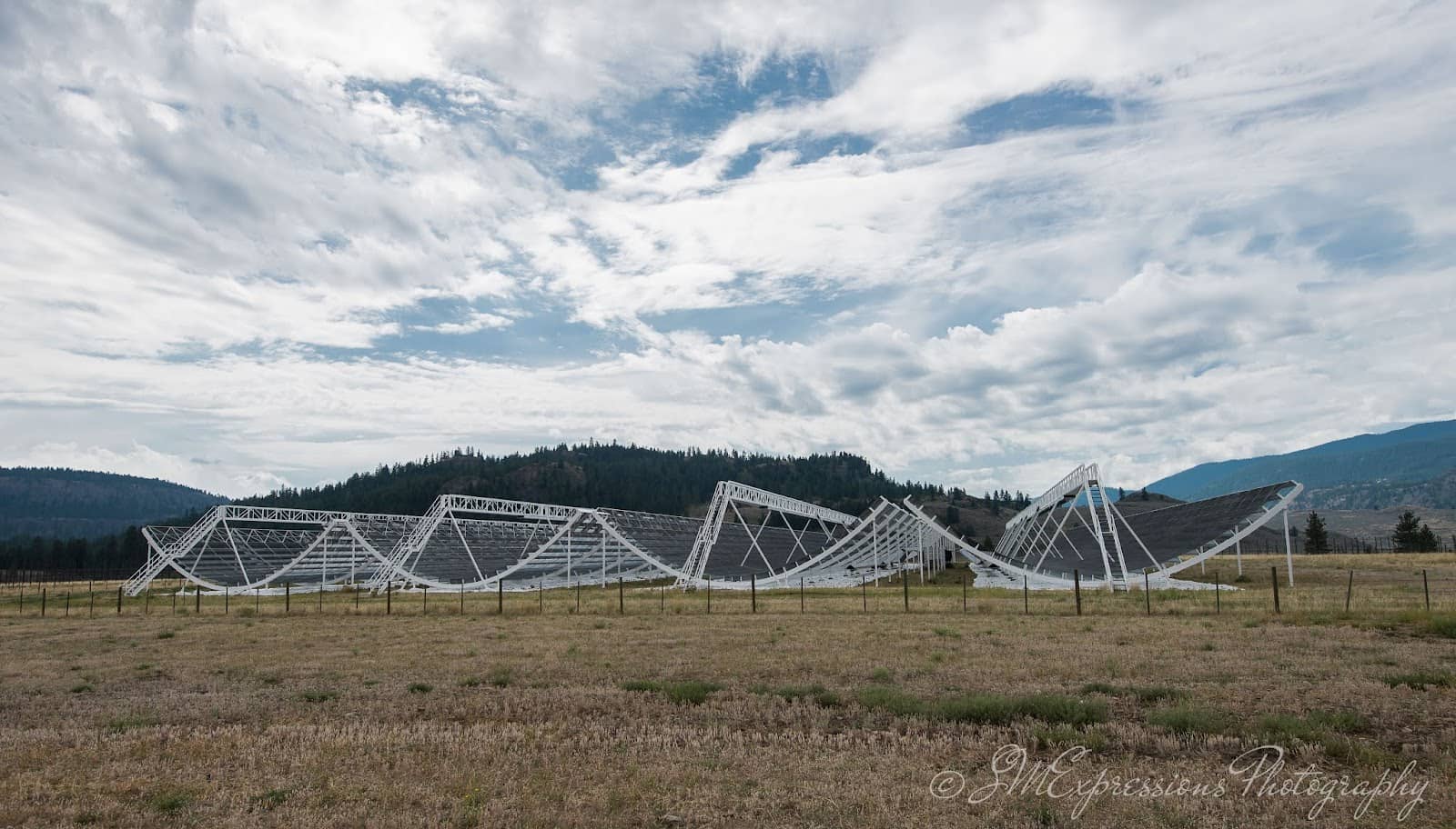 Expert-Led Guided Tours