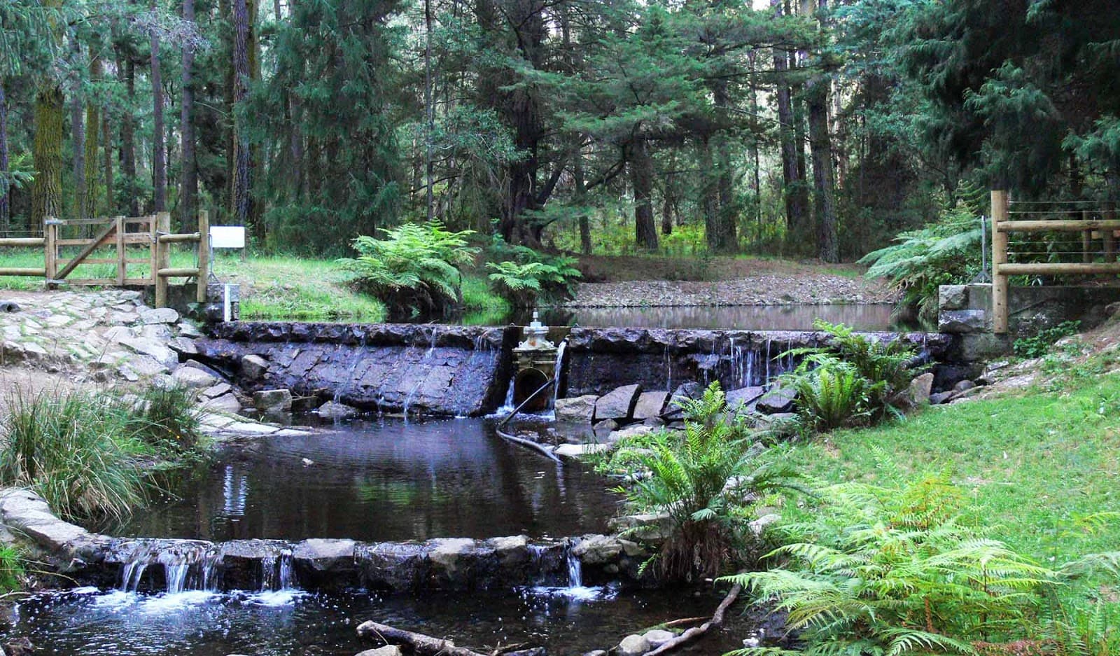 Donnellys Weir - Image 1