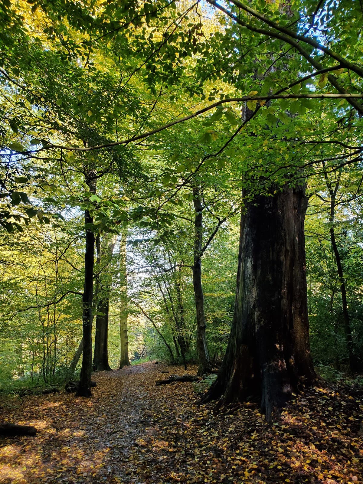 Sherrardspark - Image 1