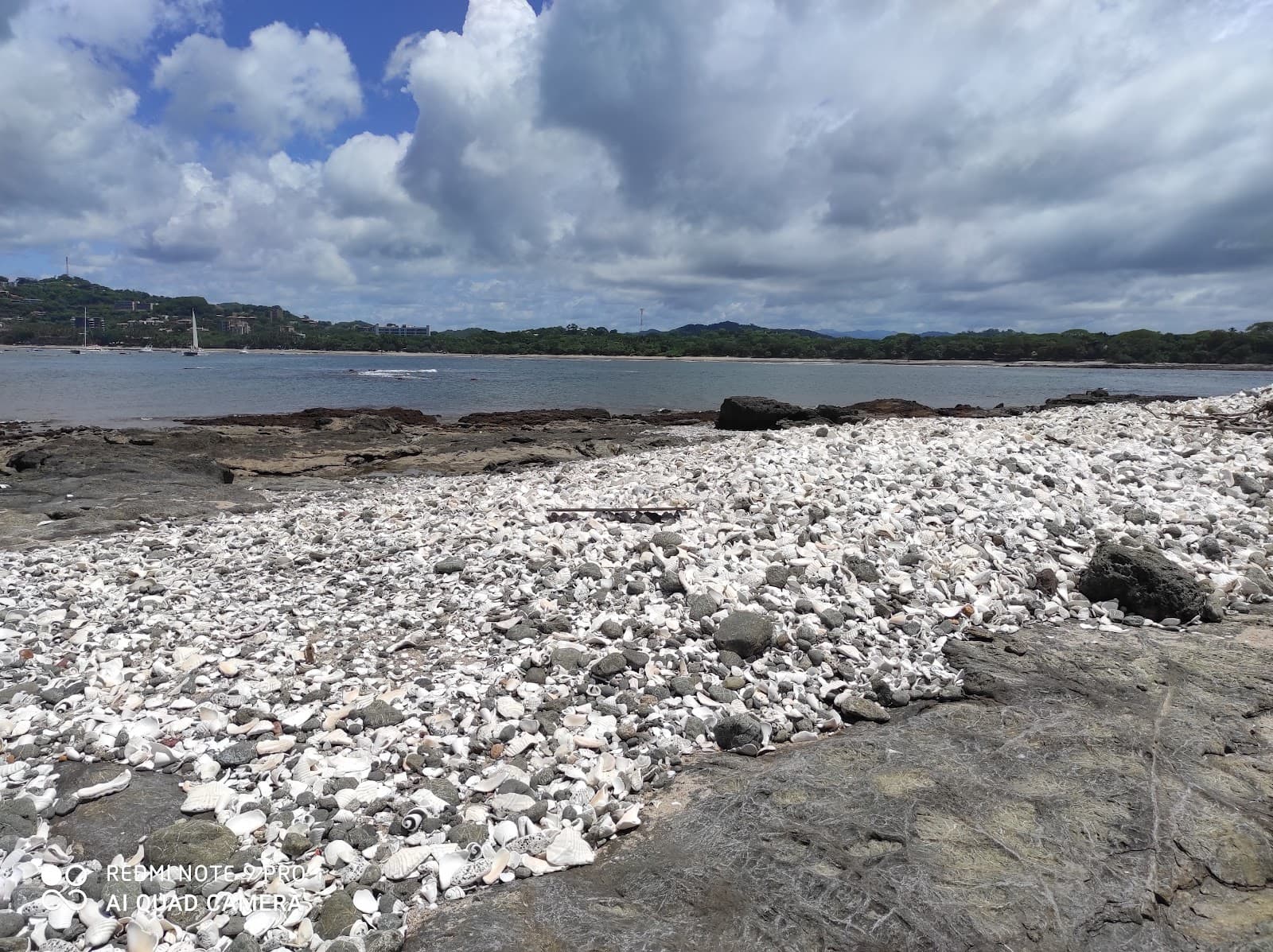 Captain Island / Isla Capitán - Image 1