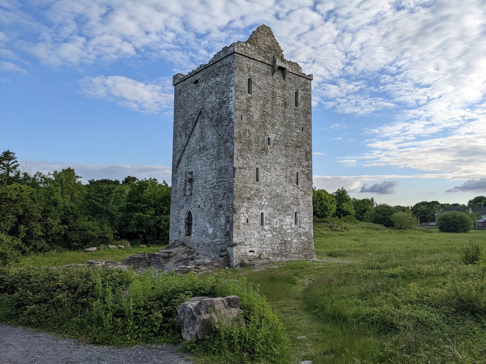 Merlin Park Woods - Image 1