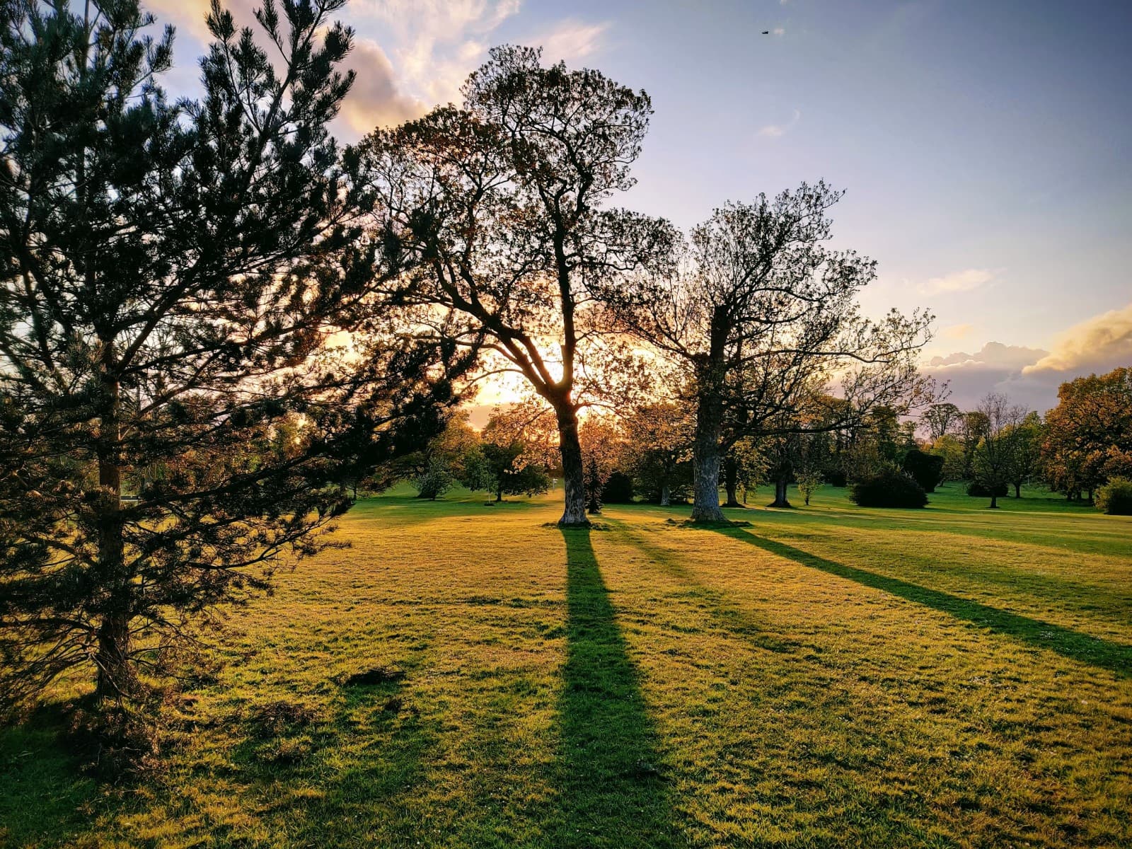 Priory Park - Image 1