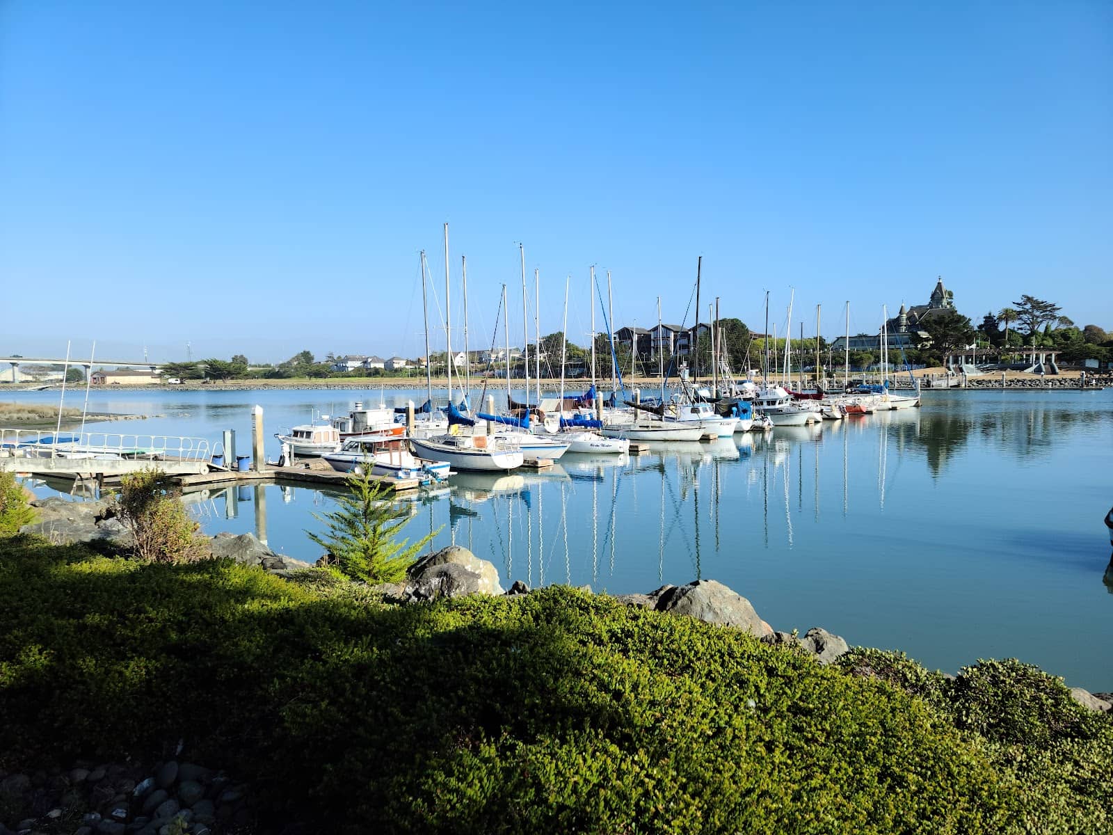 Artistic Installations