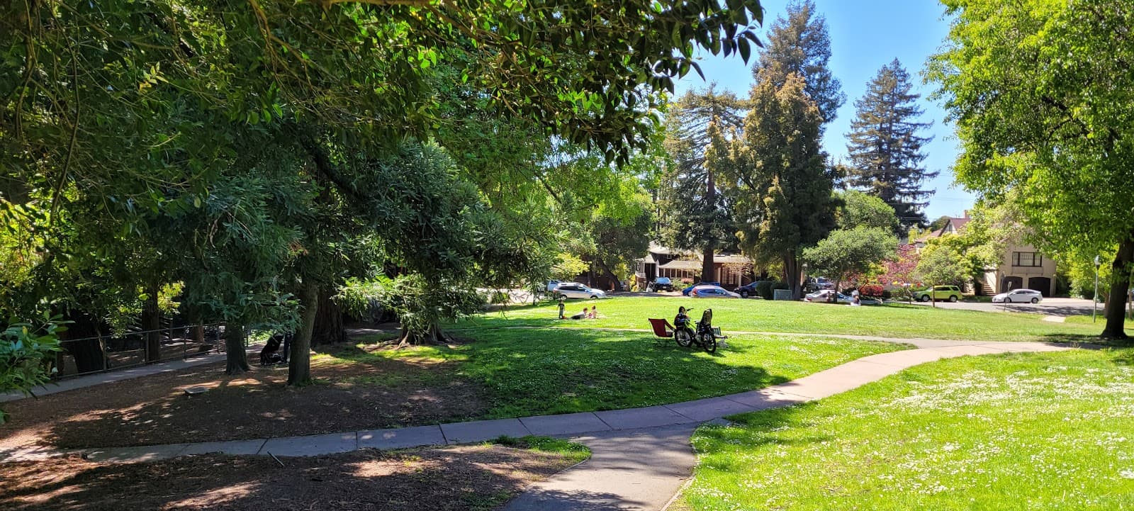 Live Oak Park Berkeley - Image 1