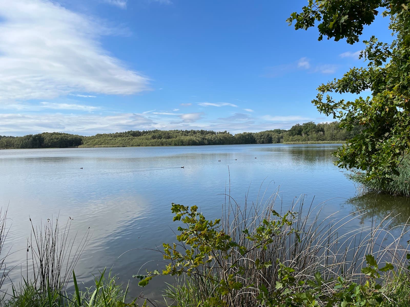 Elbe Cycle Route (Wittenberg) - Image 1