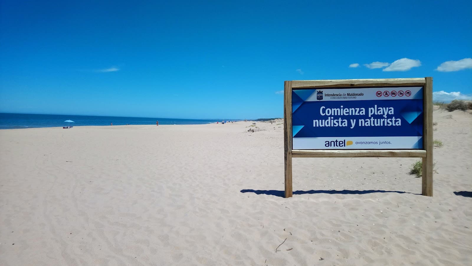 Chihuahua Beach - Image 1