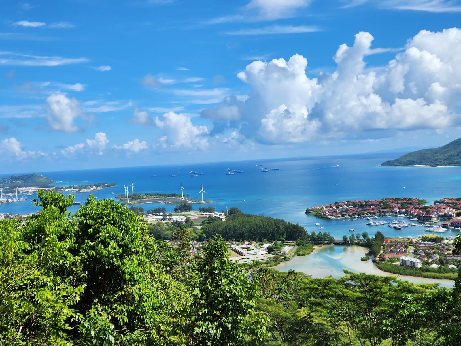 Zimbabwe Viewpoint - Image 1