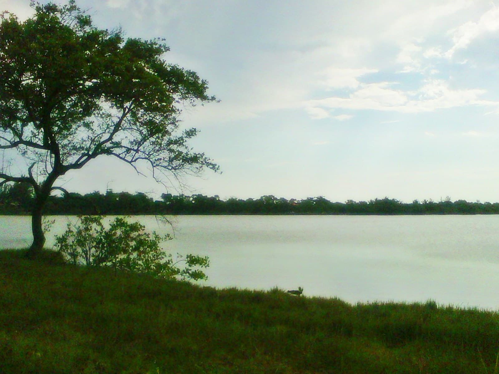 Antigas Salinas de Araruama - Image 1