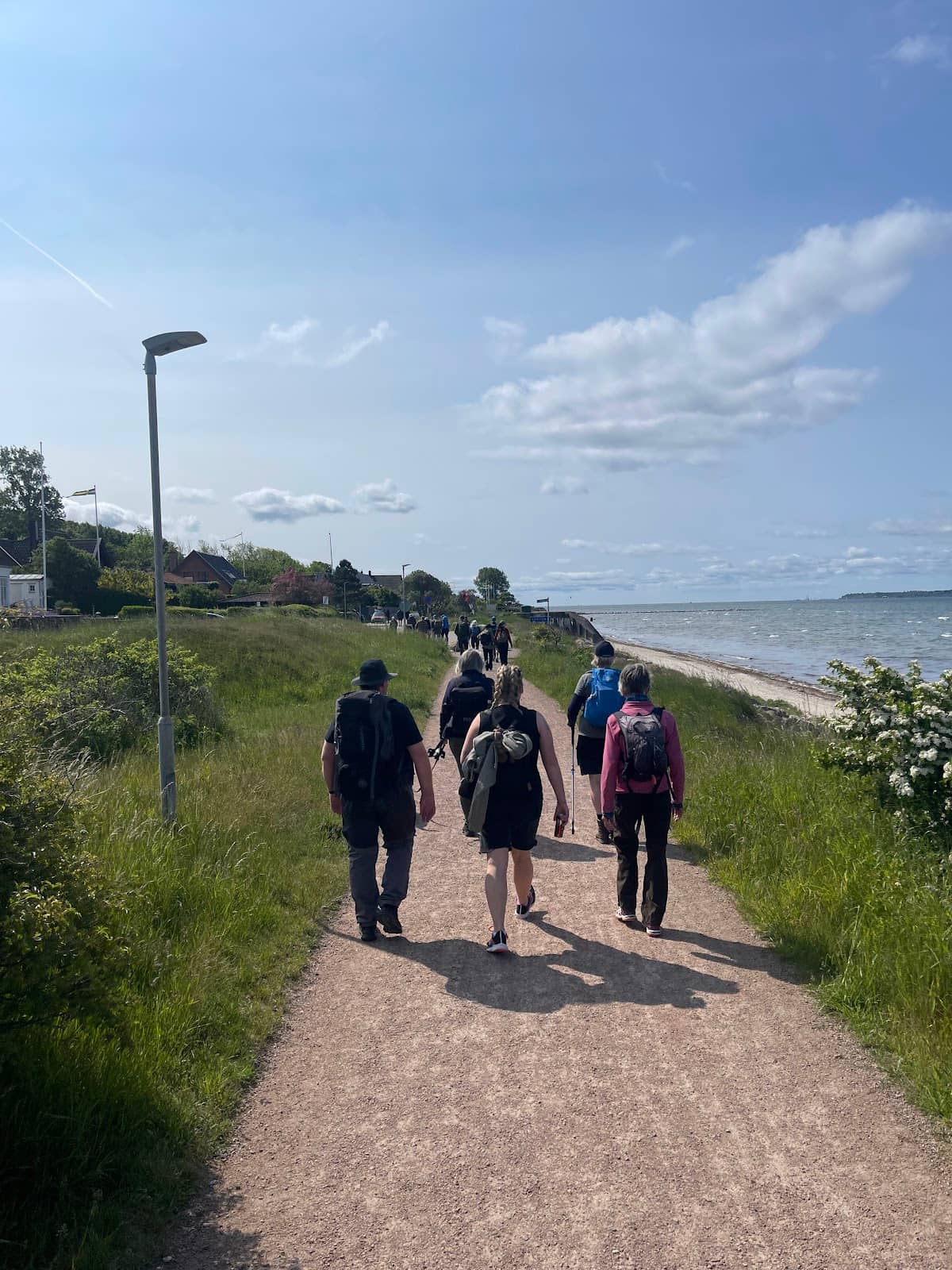 Snorkeling Opportunities