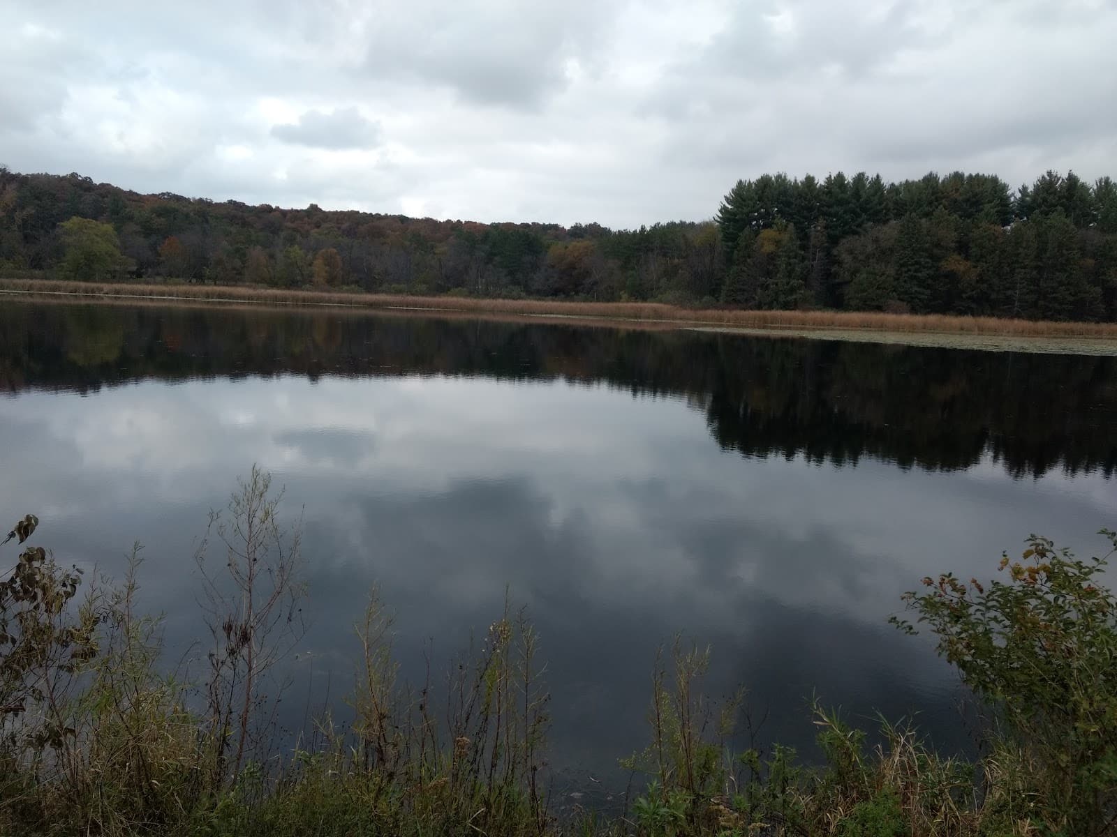 Cadiz Springs State Recreation Area - Image 1