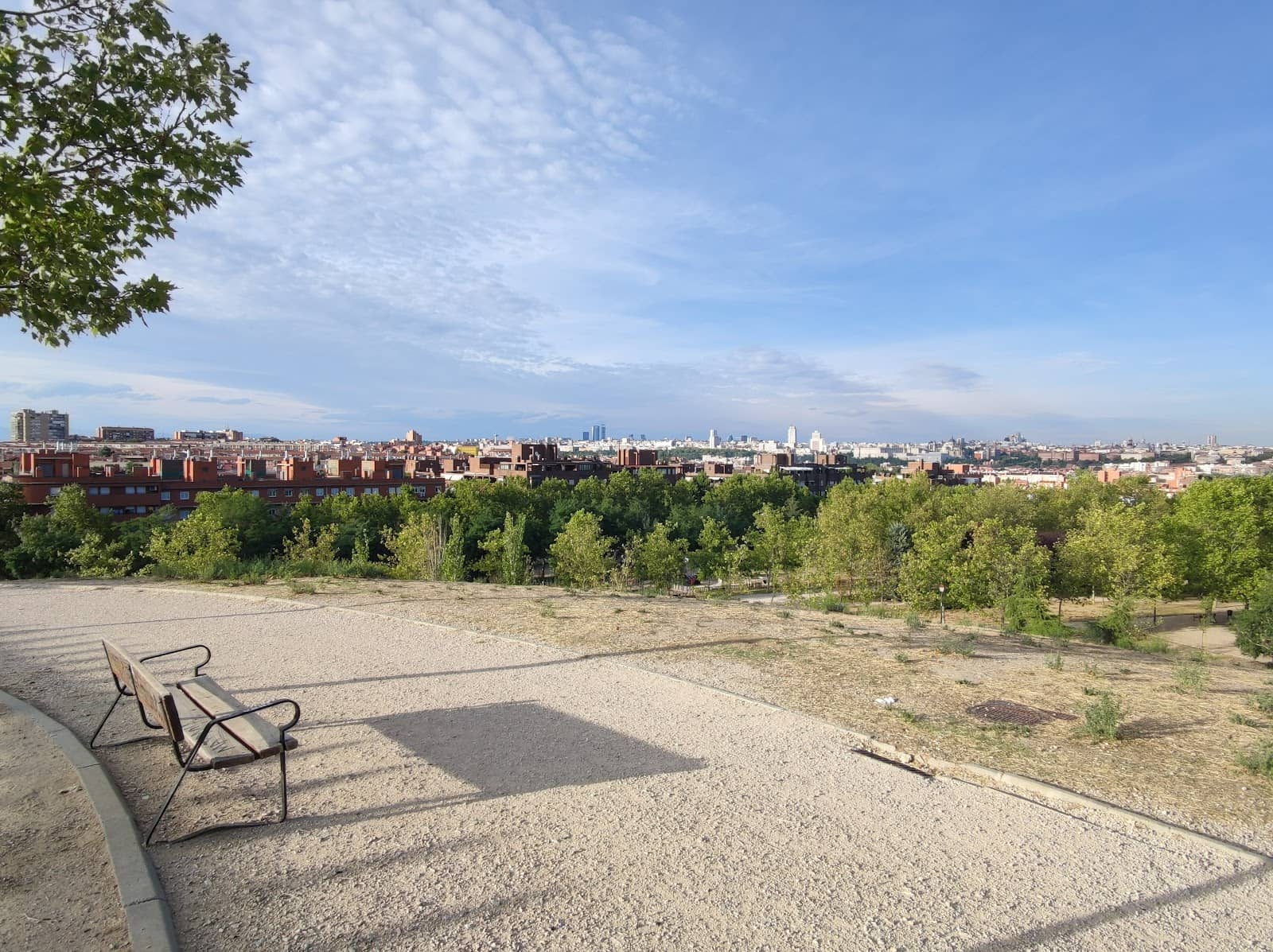 Multicultural Park Ambiance