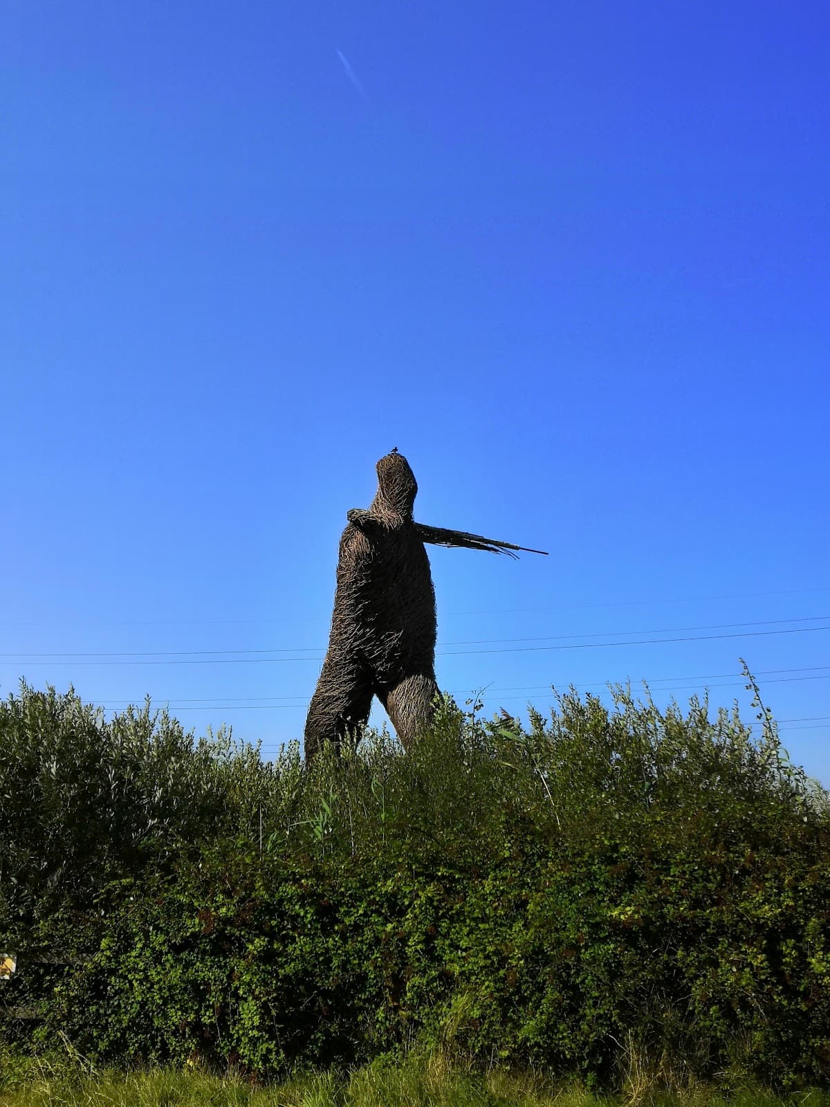 The Willow Man - Image 1