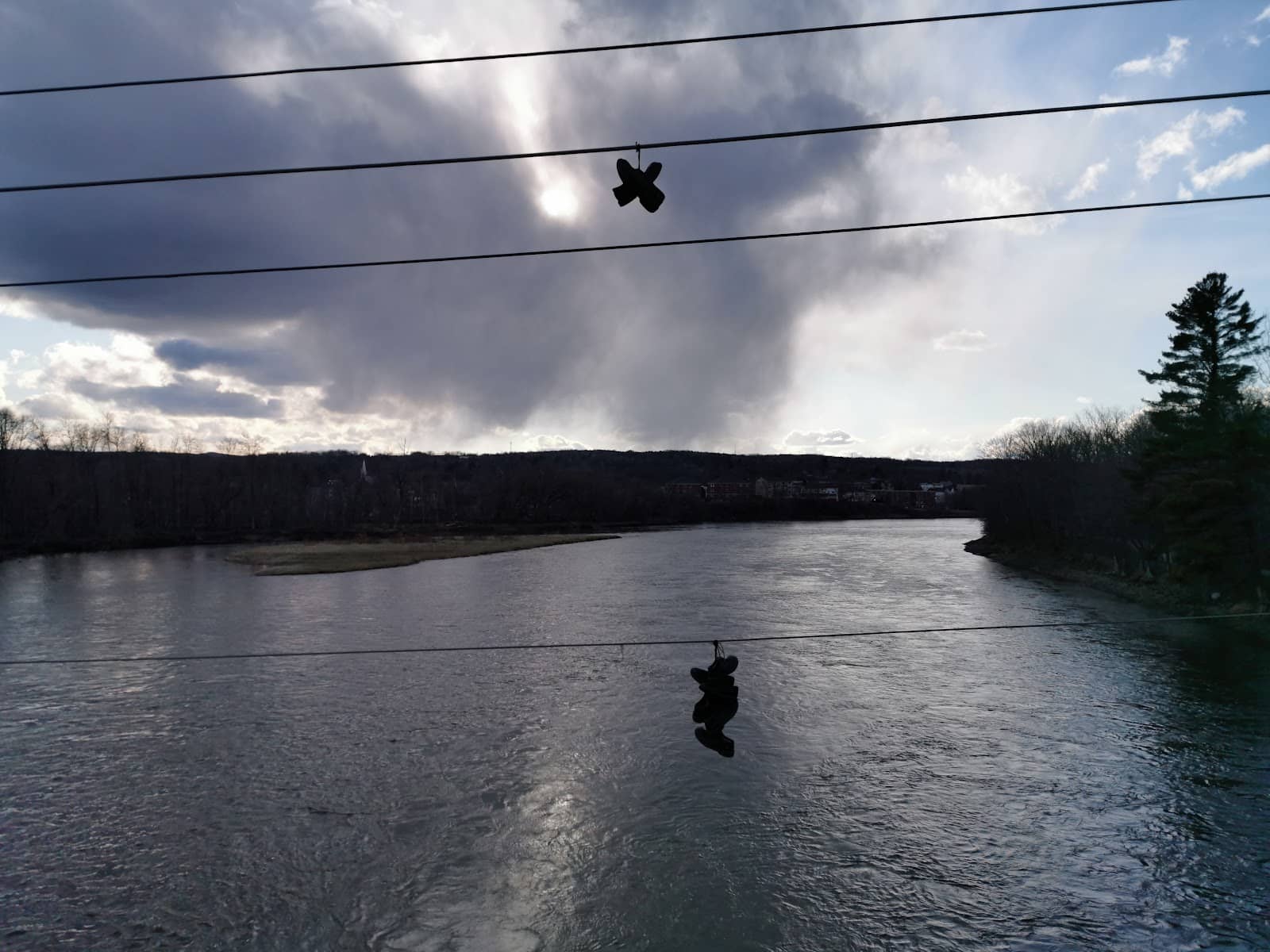 Local Bookstores and Art