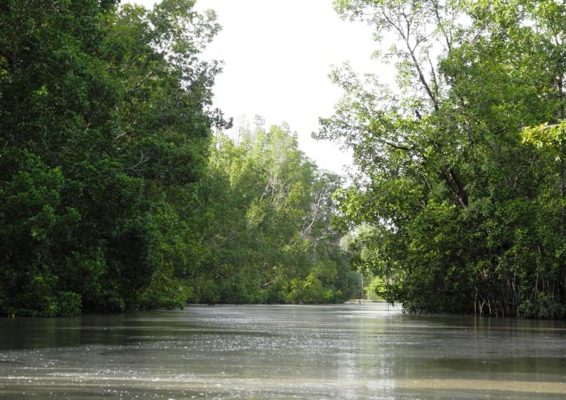 Bao Bolong Wetland Reserve - Image 1