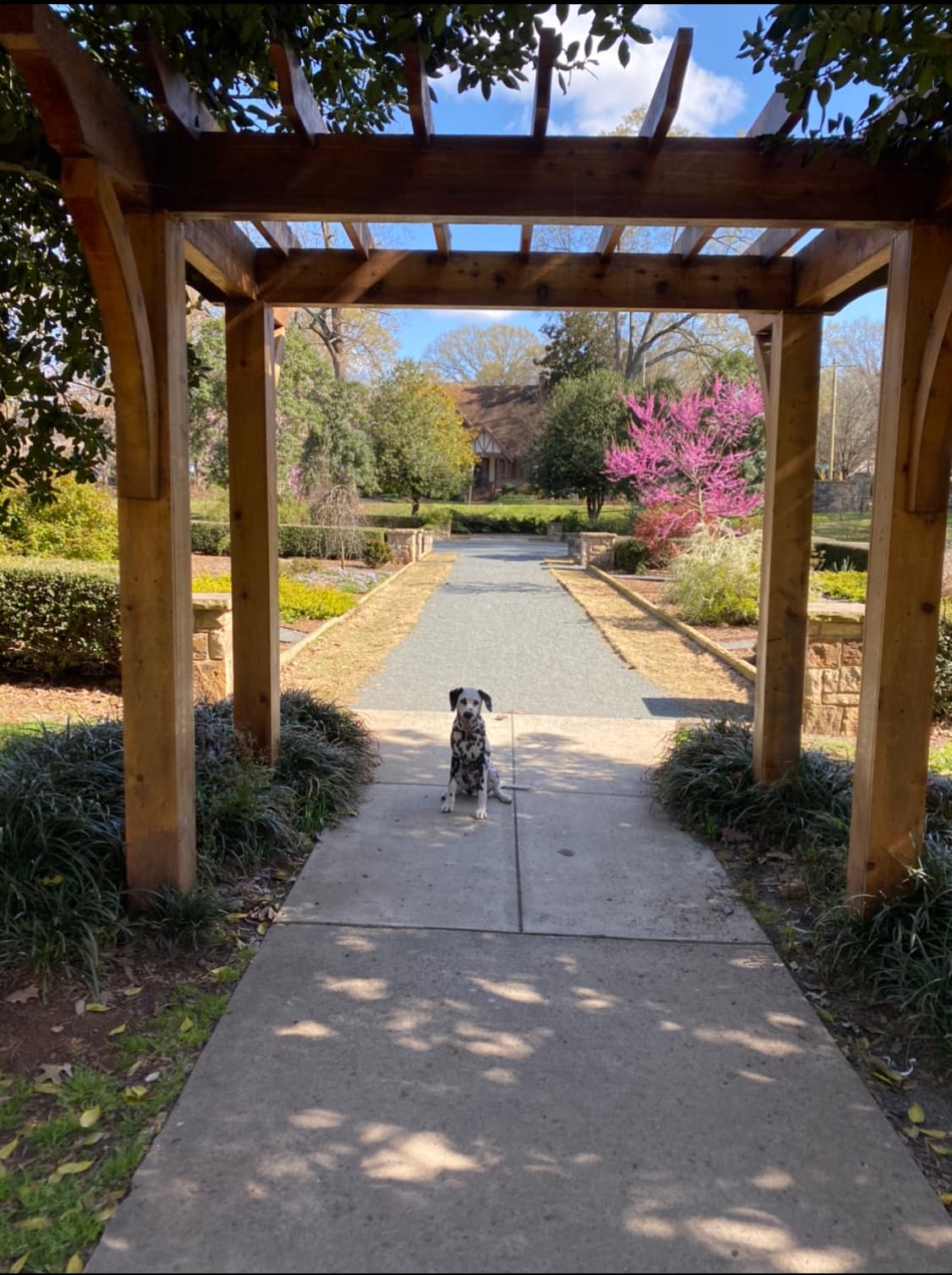 Independence Park - Image 1