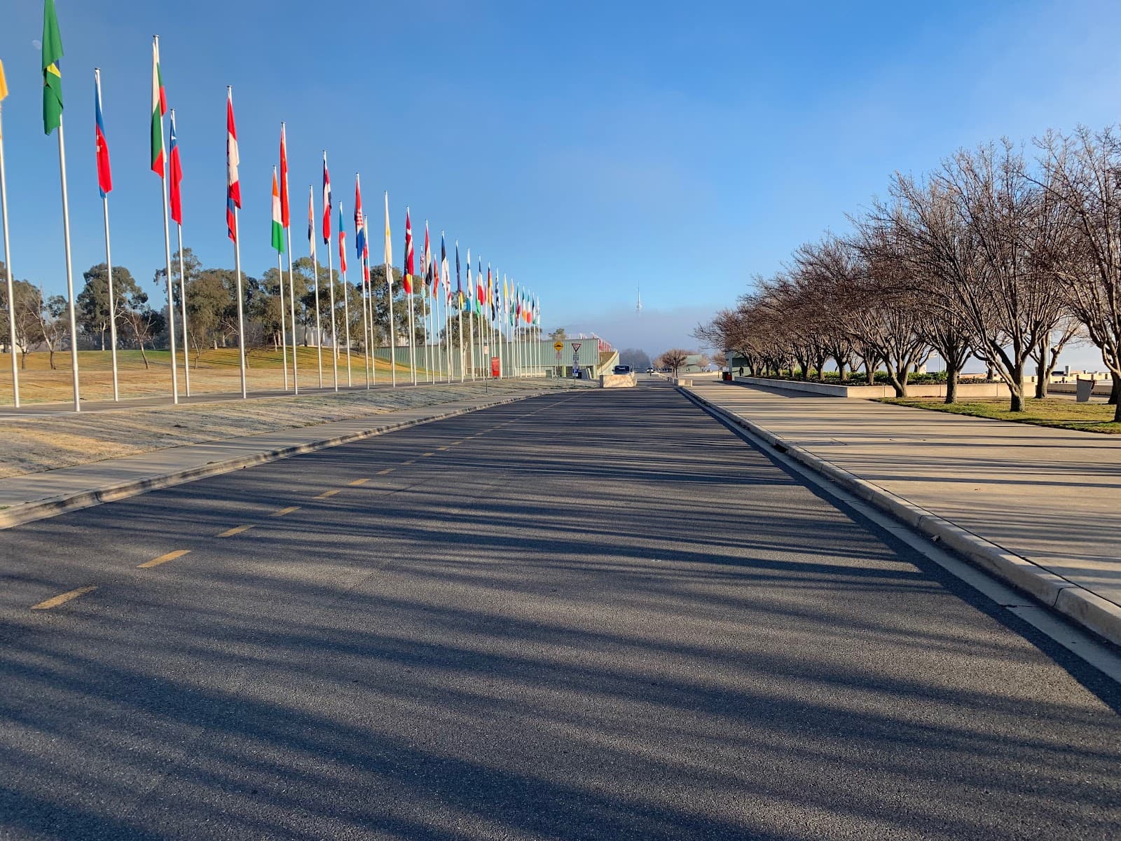 International Flag Display - Image 1