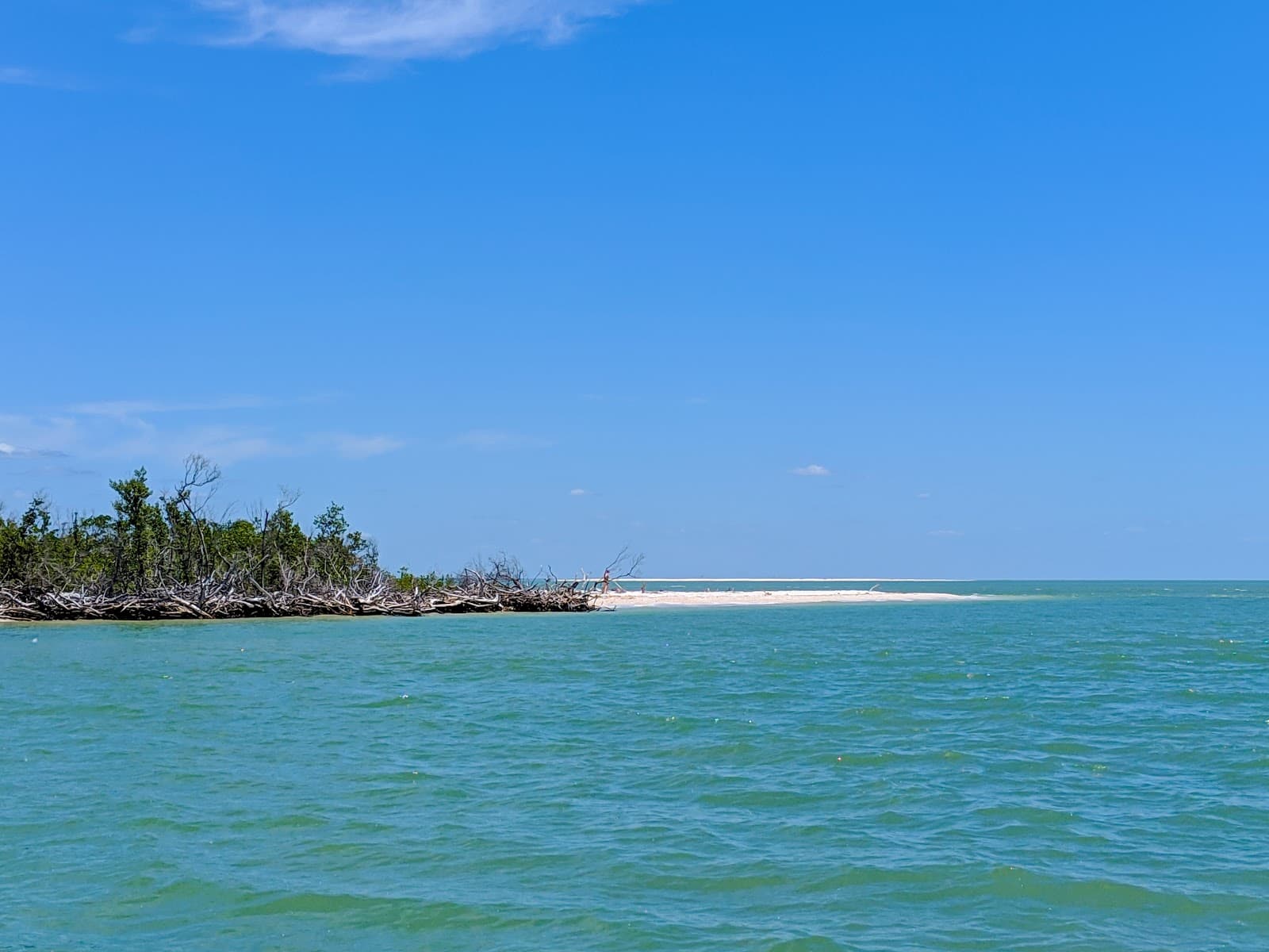 Ten Thousand Islands, FL - Image 1