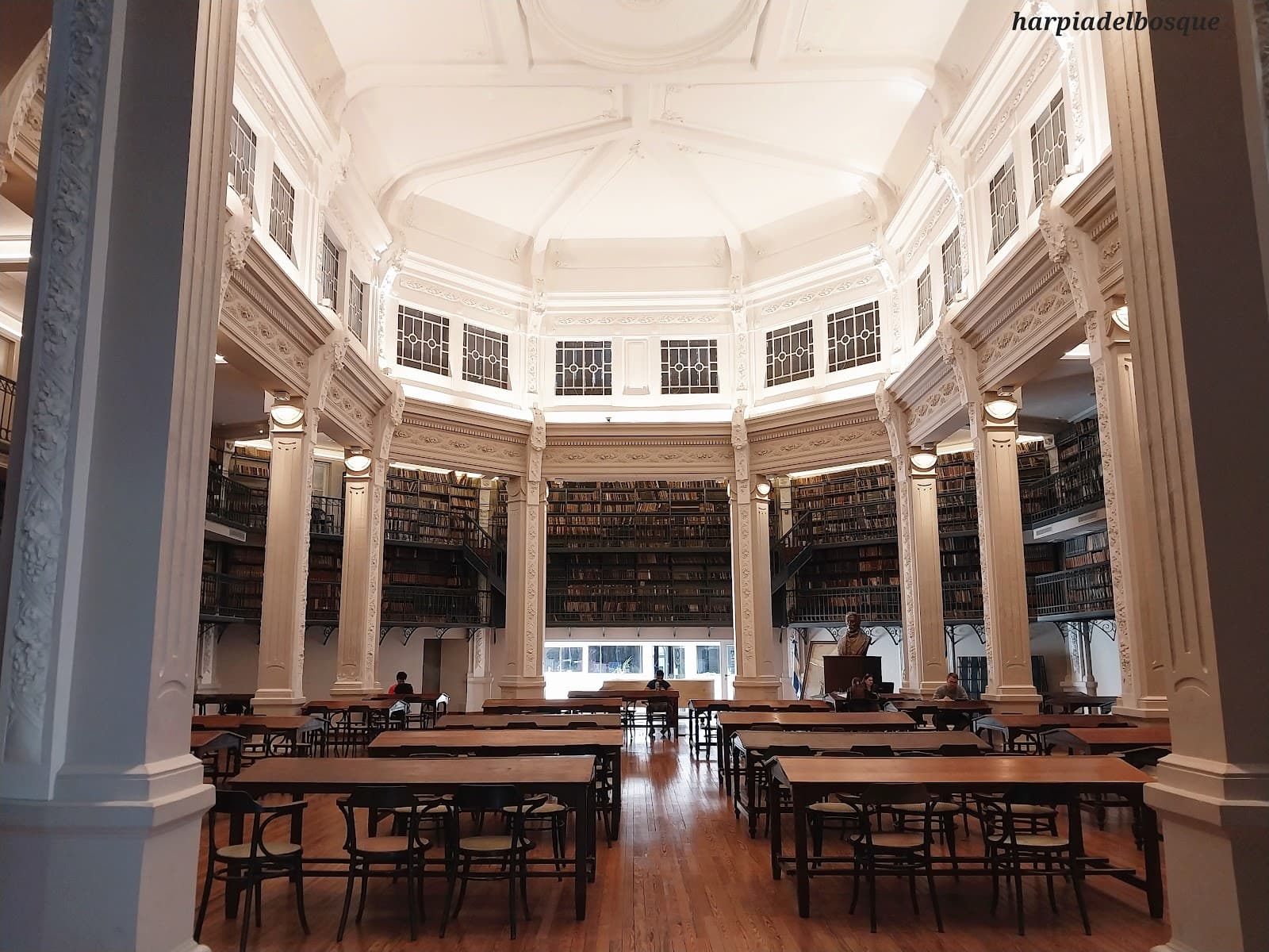 Biblioteca Argentina Dr Juan Álvarez - Image 1