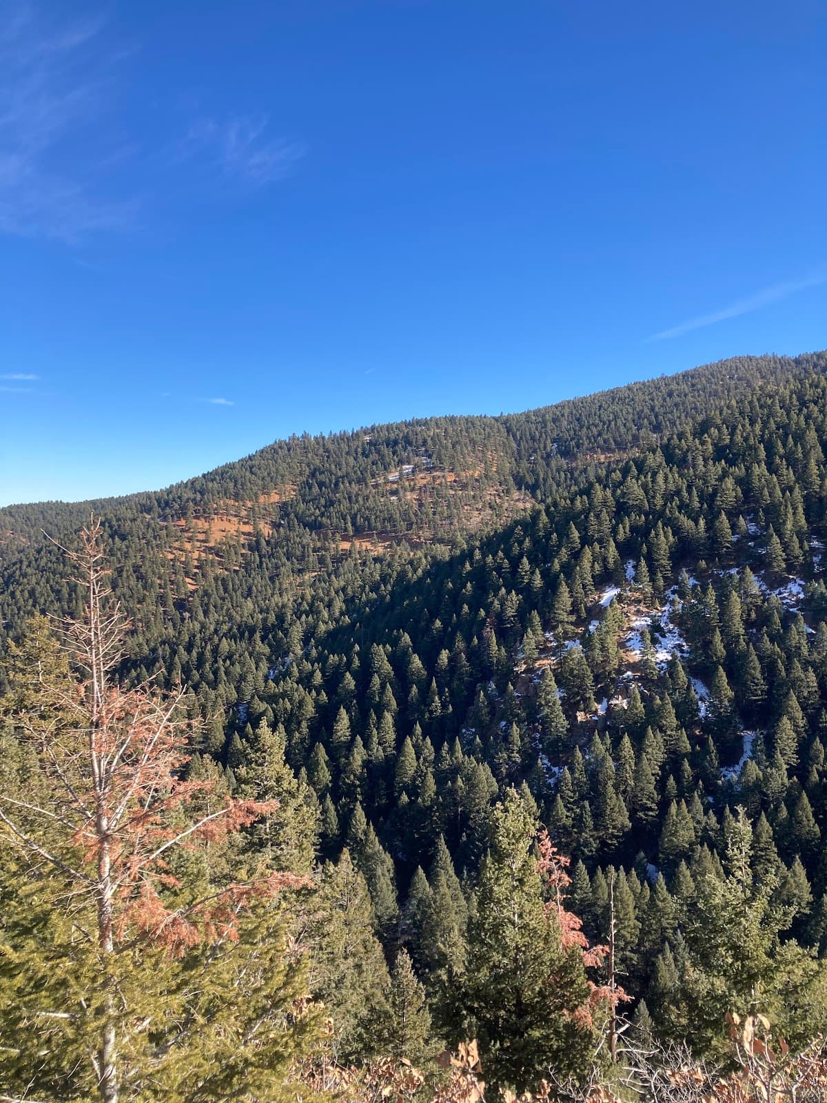 Bear Creek Canyon Scenic Drive Morrison to Evergreen Colorado - Image 1