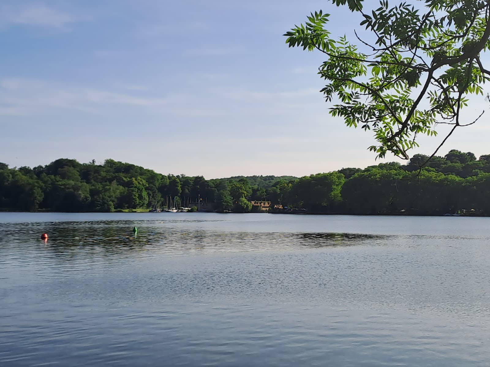 Plane Trees Over Water