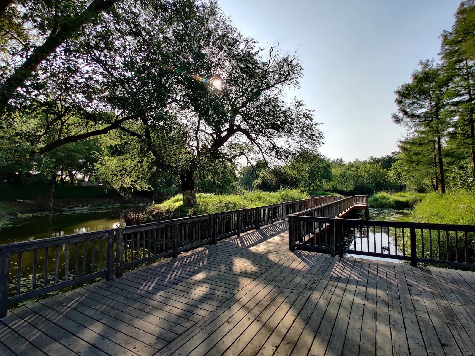 Jiangxinzhou Ecological Park - Image 1