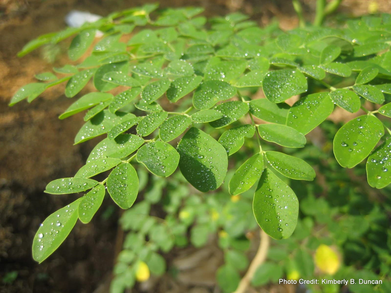 ECHO Global Farm Tours - Image 1
