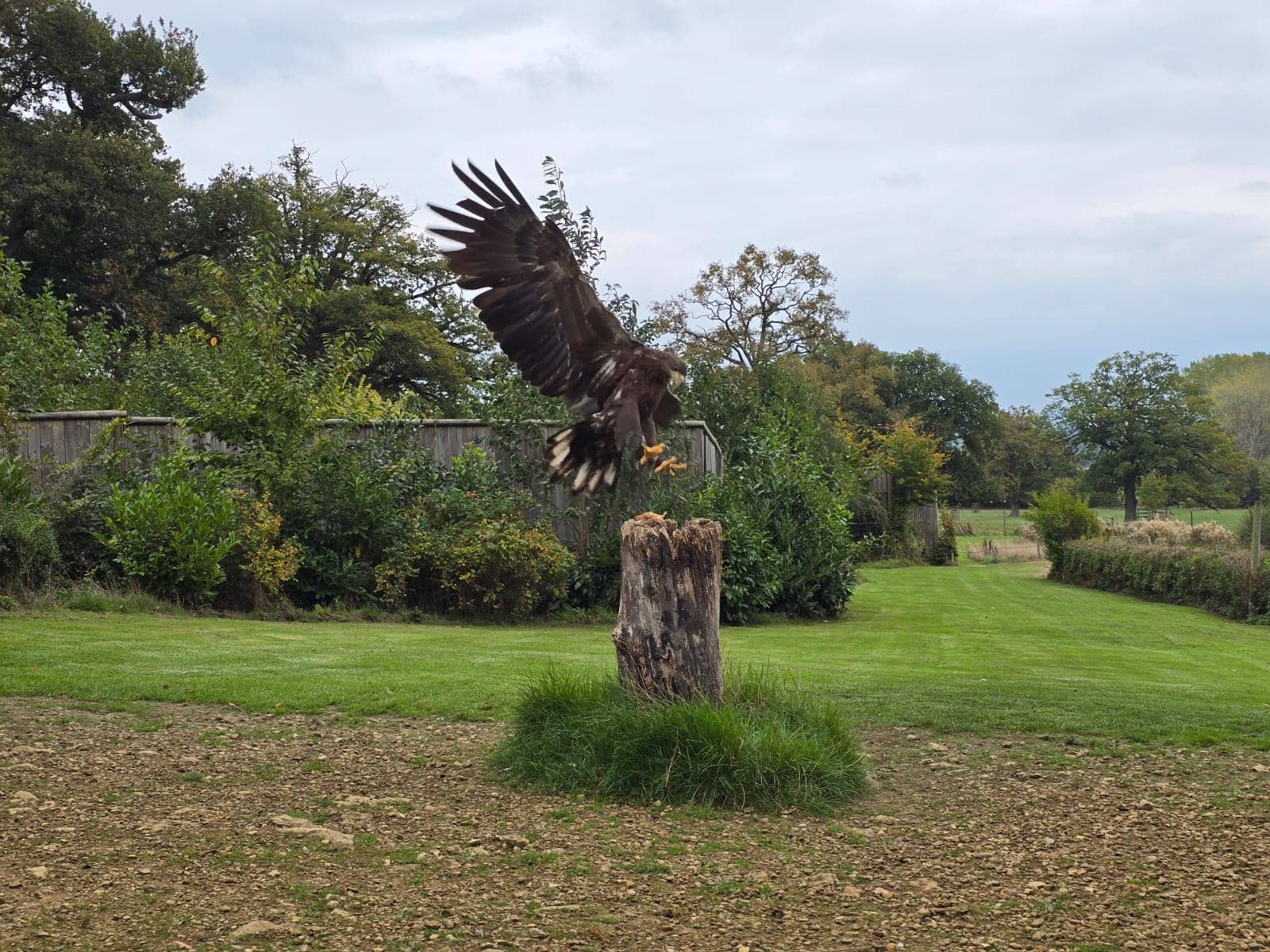Hands-On Bird Experiences