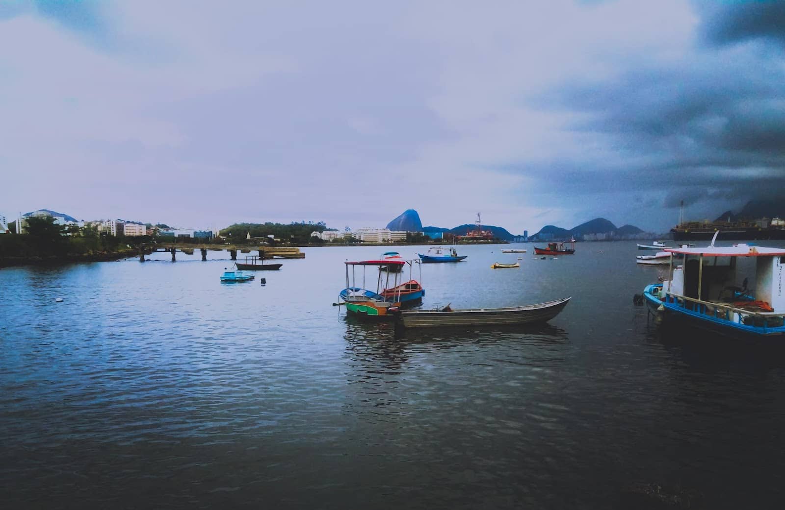 Fresh Seafood Delights