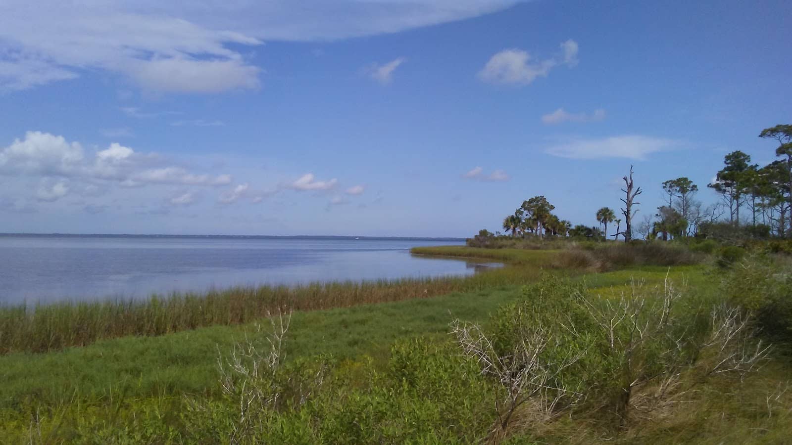 Shelling on Secluded Beaches
