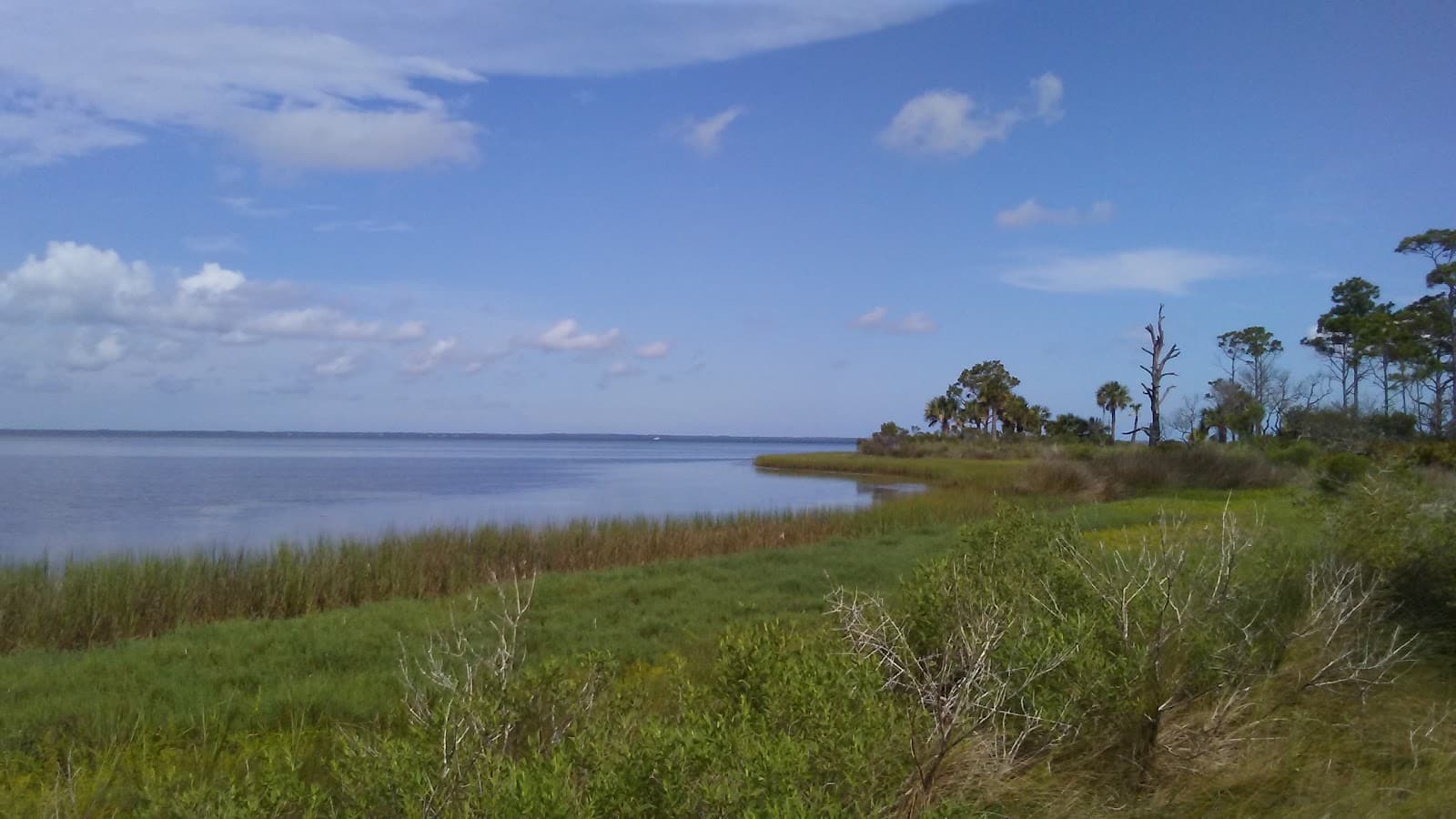 St. Joseph Bay Aquatic Preserve - Image 1