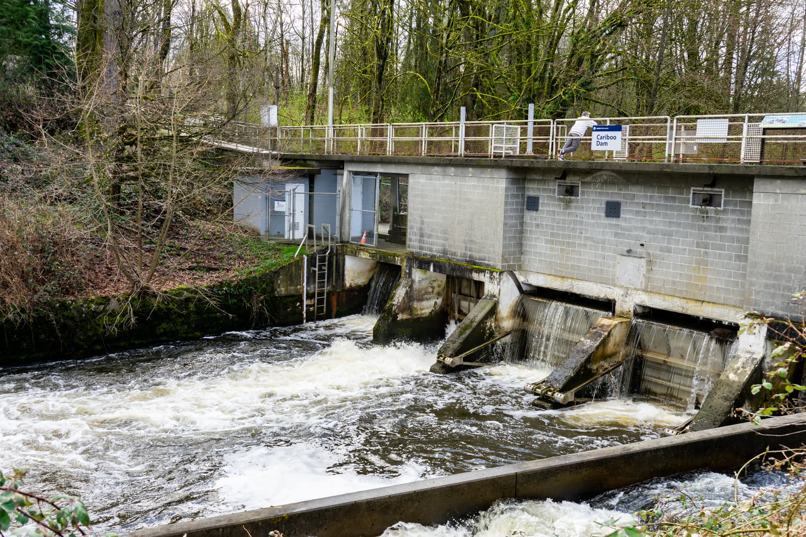 Cariboo Dam (Burnaby Lake) - Image 1